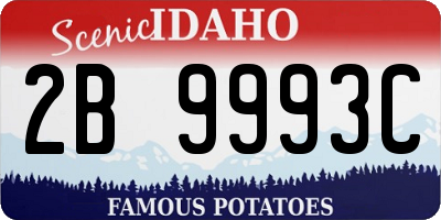ID license plate 2B9993C