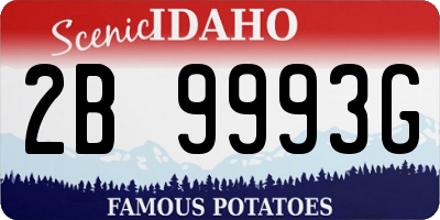 ID license plate 2B9993G