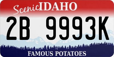 ID license plate 2B9993K