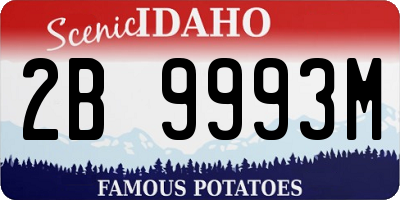 ID license plate 2B9993M