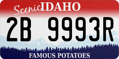 ID license plate 2B9993R