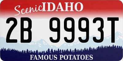 ID license plate 2B9993T