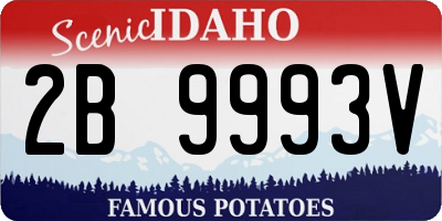 ID license plate 2B9993V