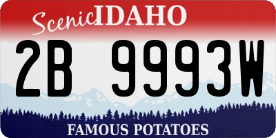 ID license plate 2B9993W