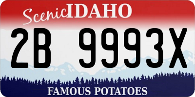 ID license plate 2B9993X