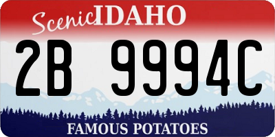 ID license plate 2B9994C