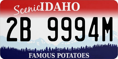 ID license plate 2B9994M