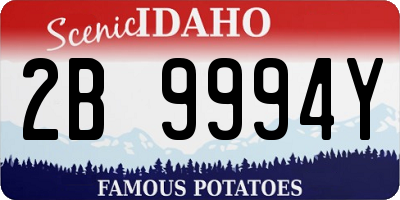 ID license plate 2B9994Y