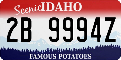 ID license plate 2B9994Z