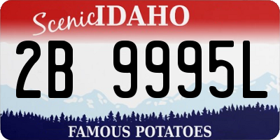 ID license plate 2B9995L