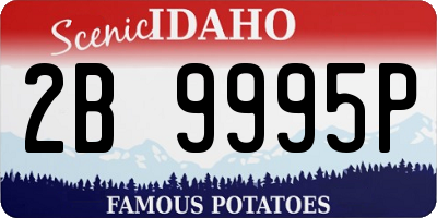 ID license plate 2B9995P