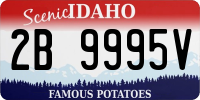 ID license plate 2B9995V