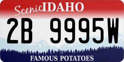 ID license plate 2B9995W