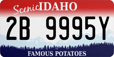ID license plate 2B9995Y
