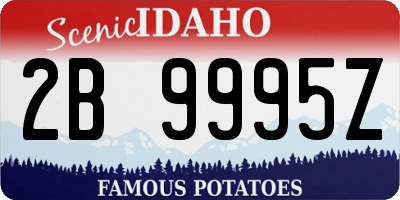 ID license plate 2B9995Z