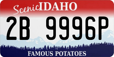 ID license plate 2B9996P