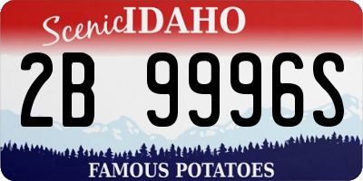 ID license plate 2B9996S