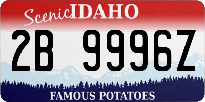 ID license plate 2B9996Z