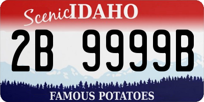 ID license plate 2B9999B