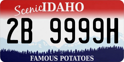 ID license plate 2B9999H