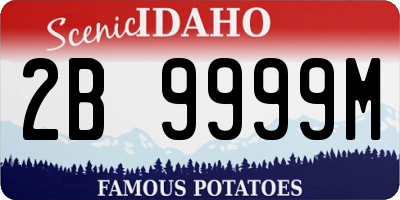 ID license plate 2B9999M