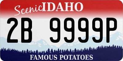 ID license plate 2B9999P