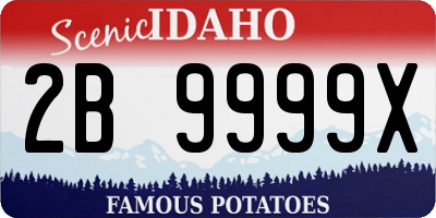 ID license plate 2B9999X