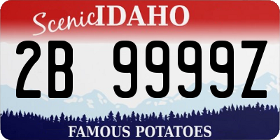 ID license plate 2B9999Z