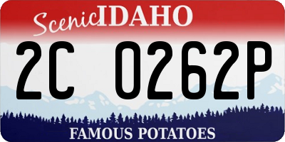 ID license plate 2C0262P