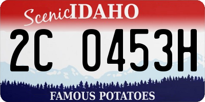 ID license plate 2C0453H
