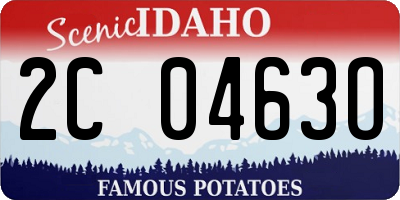 ID license plate 2C0463O