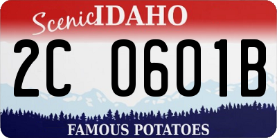 ID license plate 2C0601B
