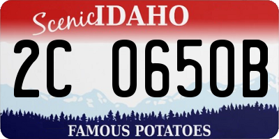 ID license plate 2C0650B