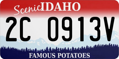 ID license plate 2C0913V