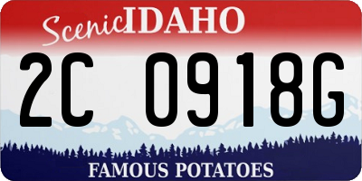 ID license plate 2C0918G