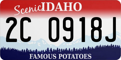 ID license plate 2C0918J