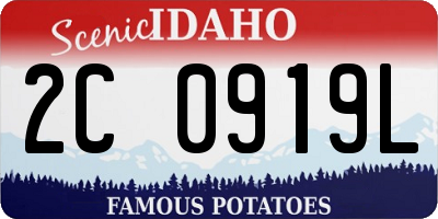 ID license plate 2C0919L