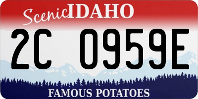 ID license plate 2C0959E
