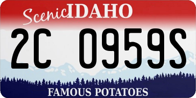 ID license plate 2C0959S