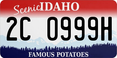 ID license plate 2C0999H