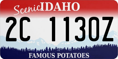 ID license plate 2C1130Z