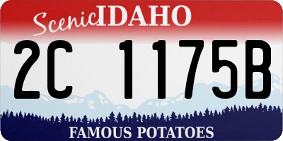 ID license plate 2C1175B