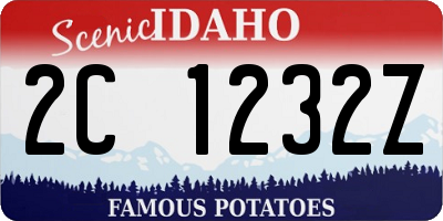 ID license plate 2C1232Z