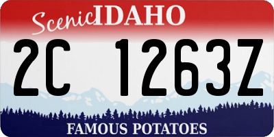 ID license plate 2C1263Z