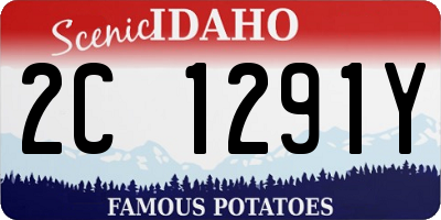 ID license plate 2C1291Y