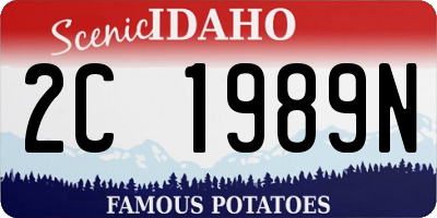 ID license plate 2C1989N
