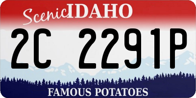 ID license plate 2C2291P