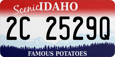 ID license plate 2C2529Q