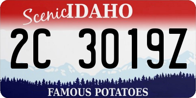 ID license plate 2C3019Z