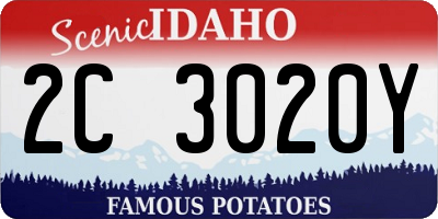 ID license plate 2C3020Y
